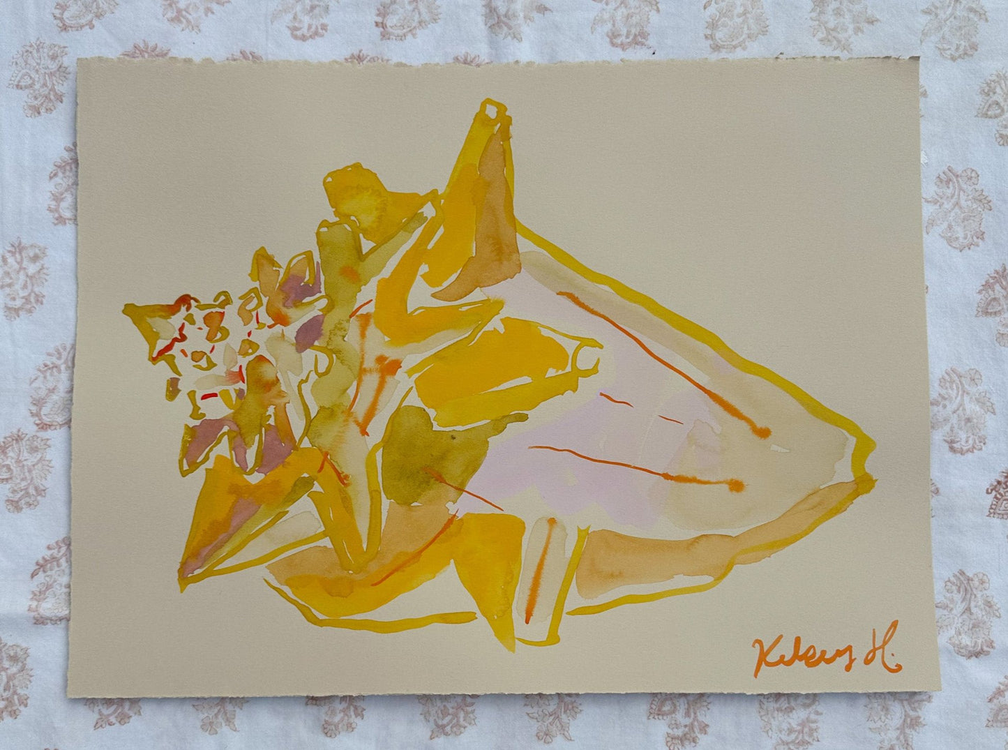 Conch Shell on paper No.3 - 11x15"
