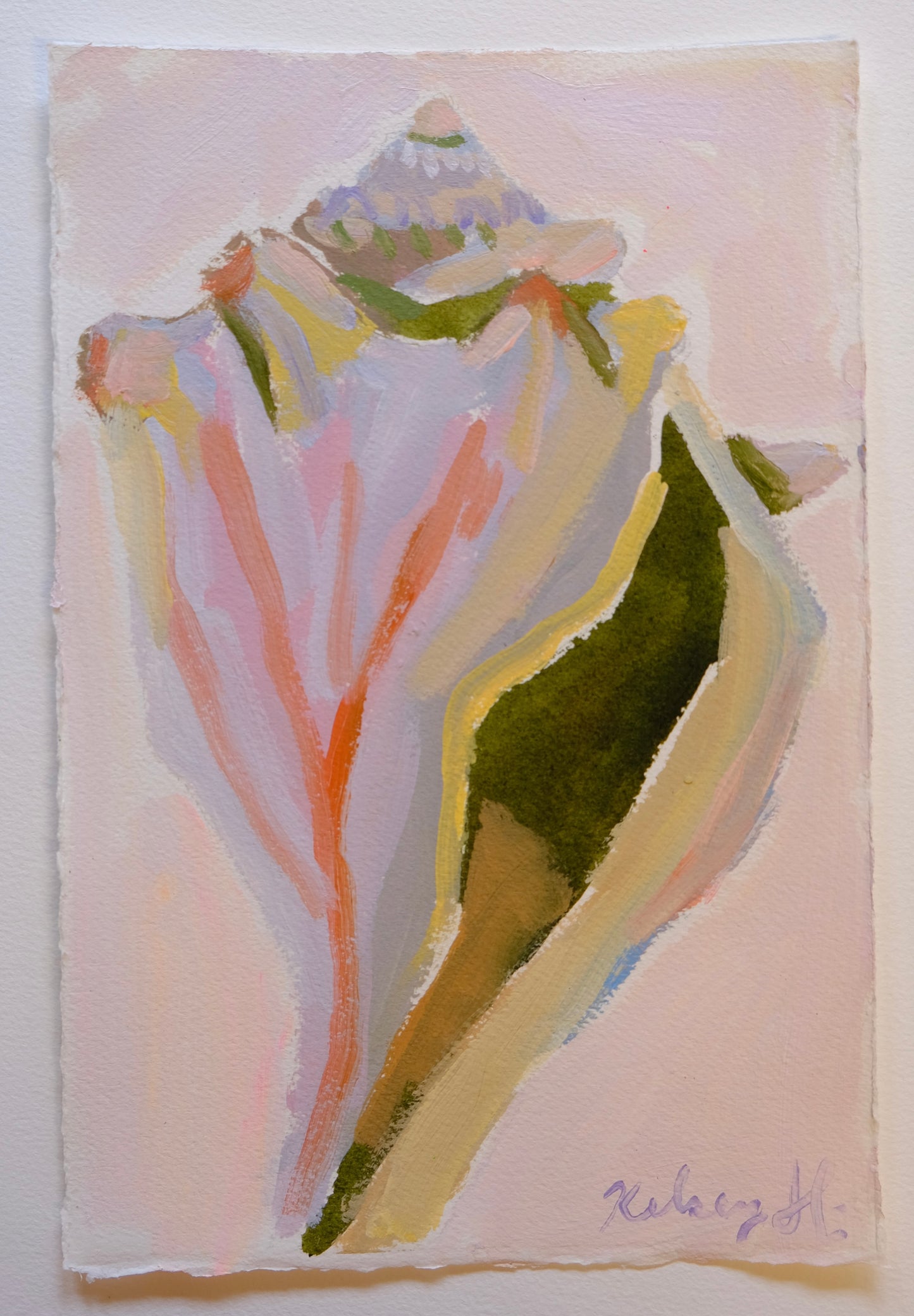 Shell No. 2- 7.5 x 11.25"