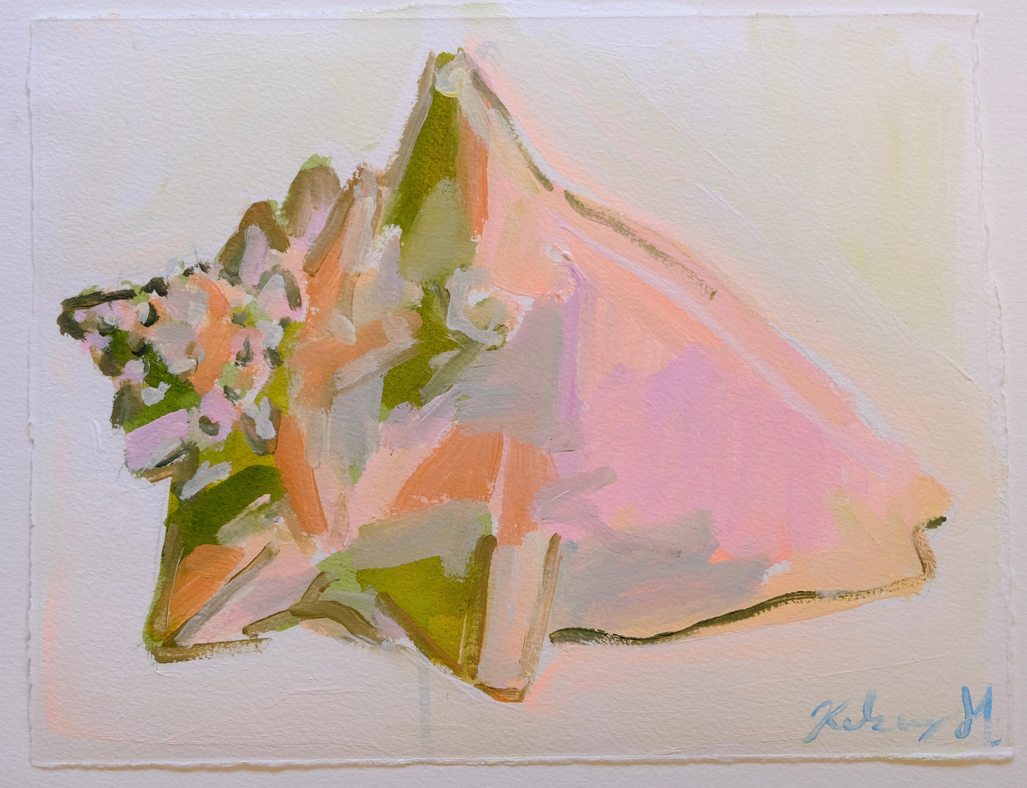 Shell No. 5- 8.5 x 11.25"