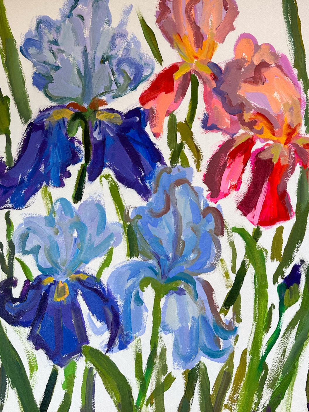 Irises from France - 25.25 x 33"