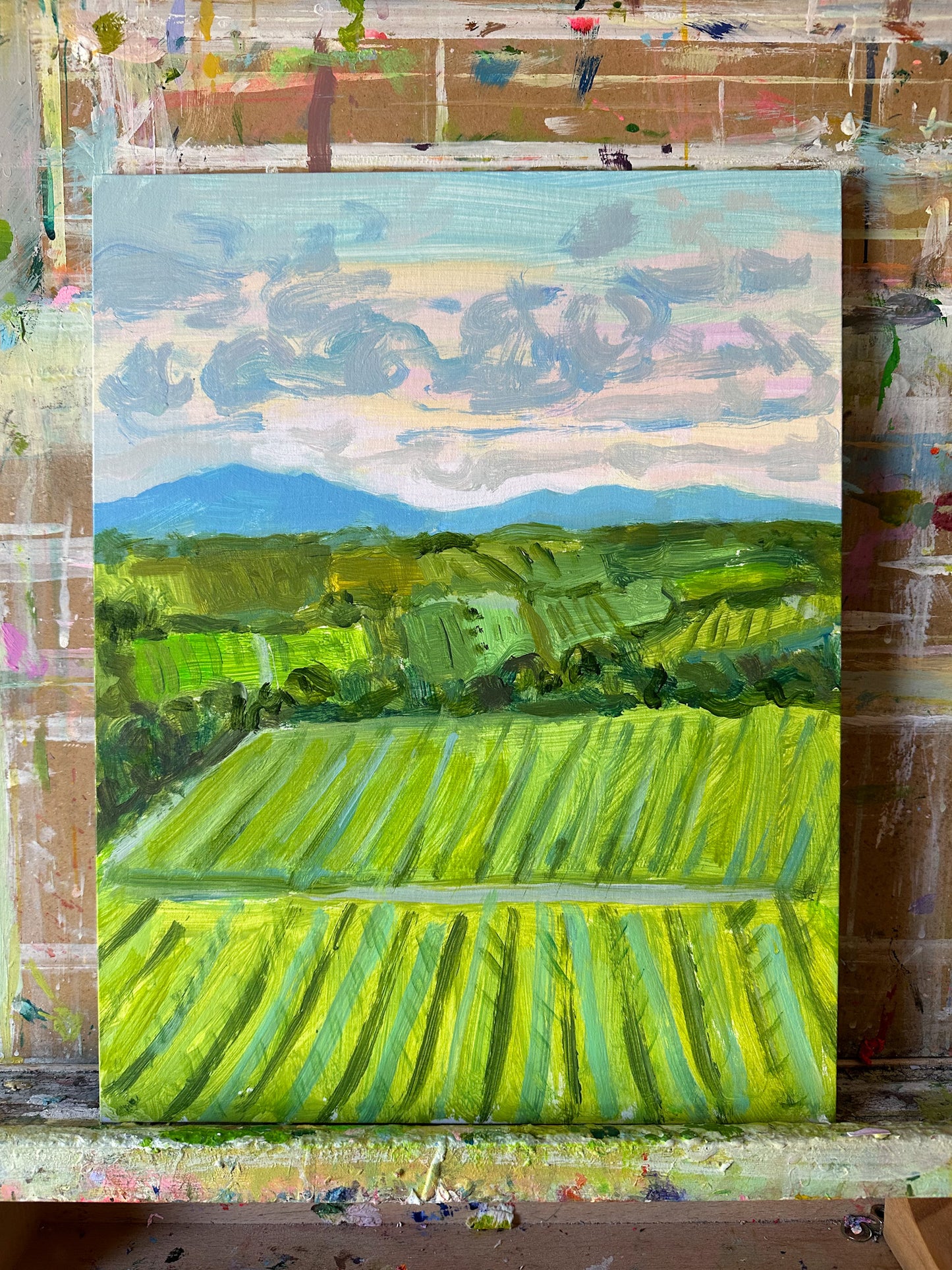 Vineyard Views in Tuscany- 11x14"