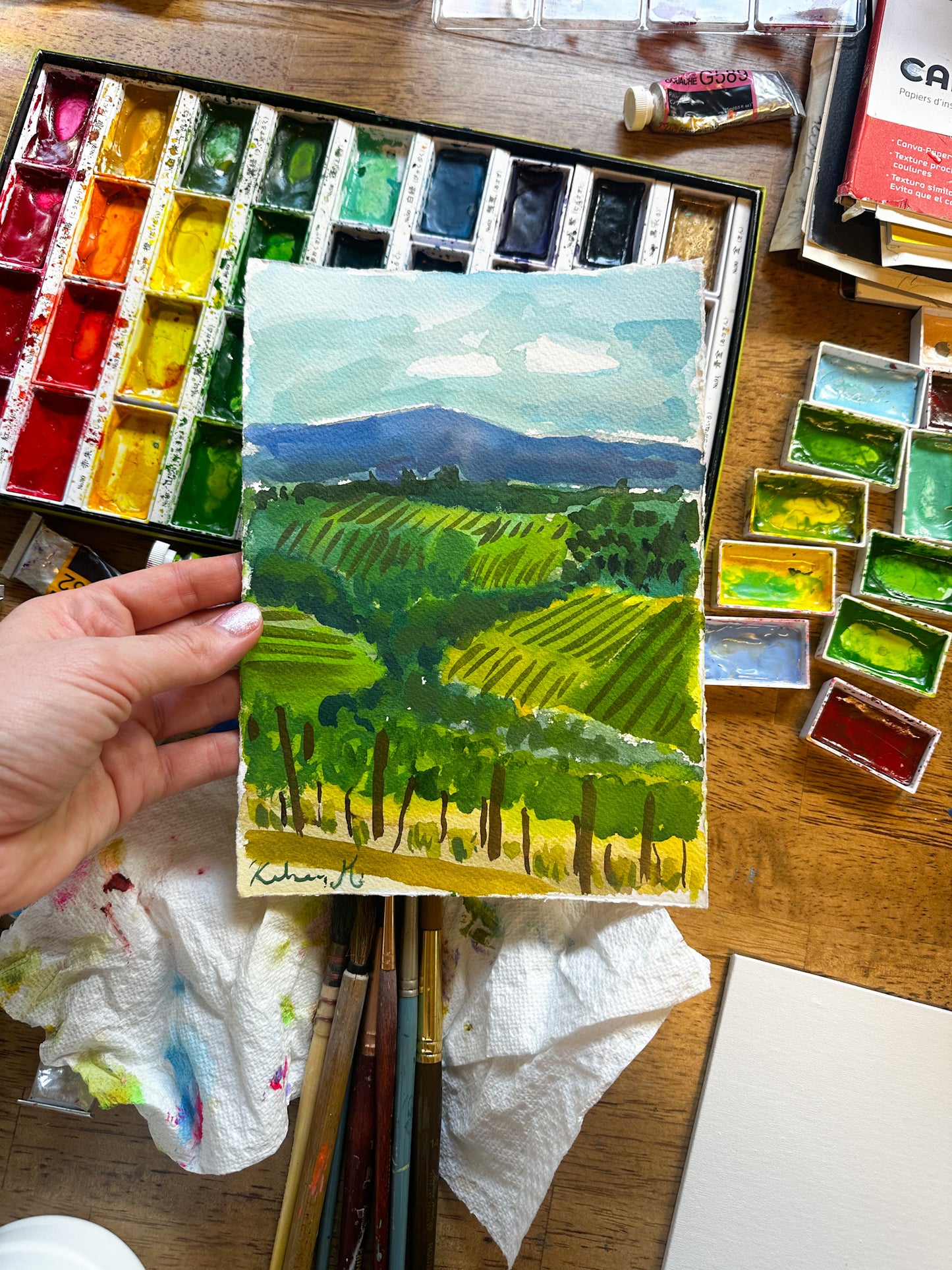 Chianti Vineyards - 6.5x9.25"