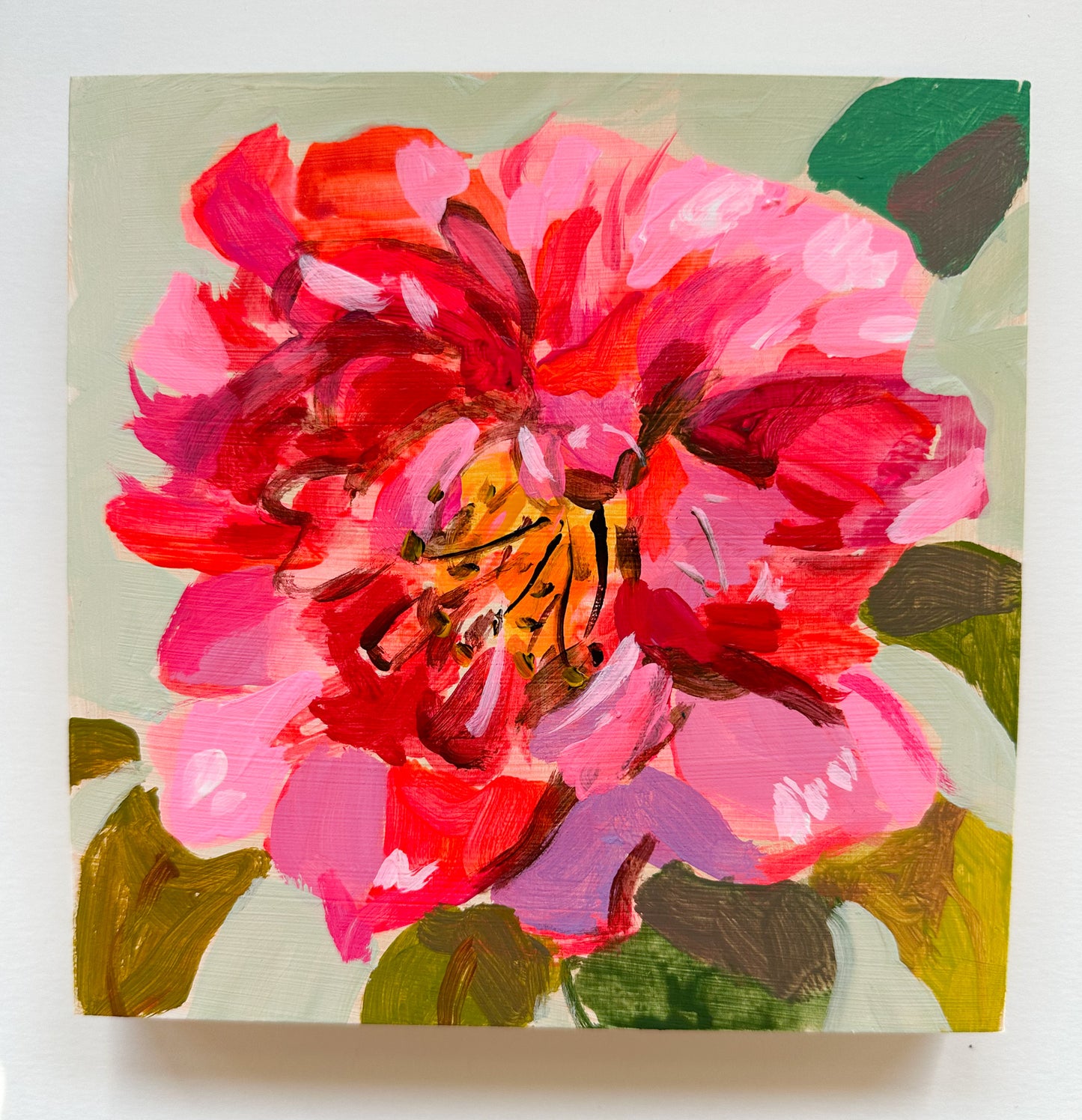 Camellia No. 10
