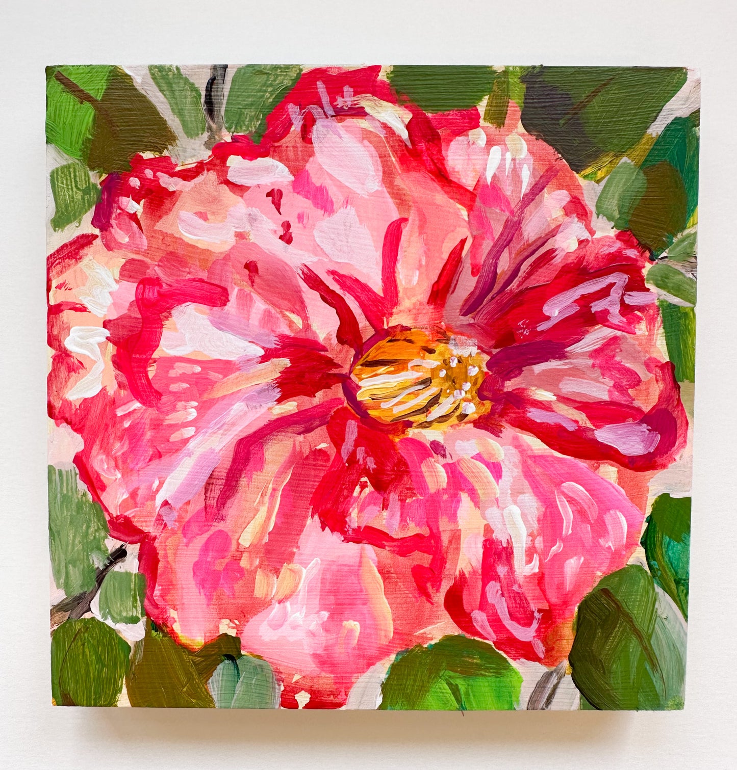 Camellia No. 6