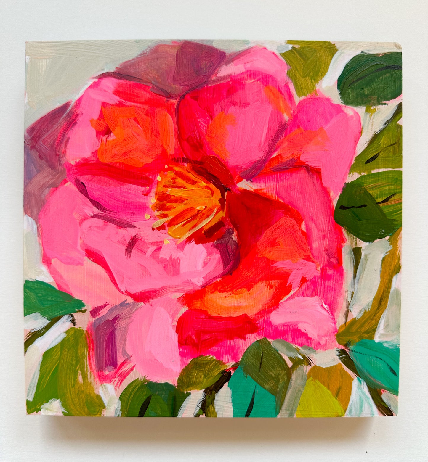 Camellia No. 9