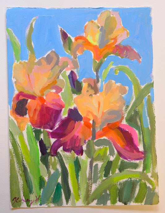 Provence Irises- 11x15"