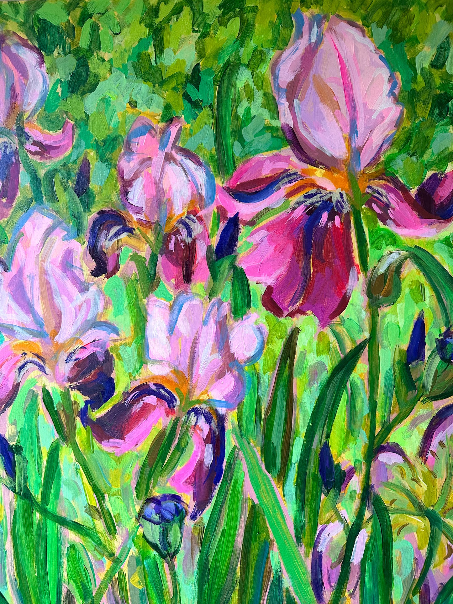 Pink and Purple Irises of Provence- 18x24"