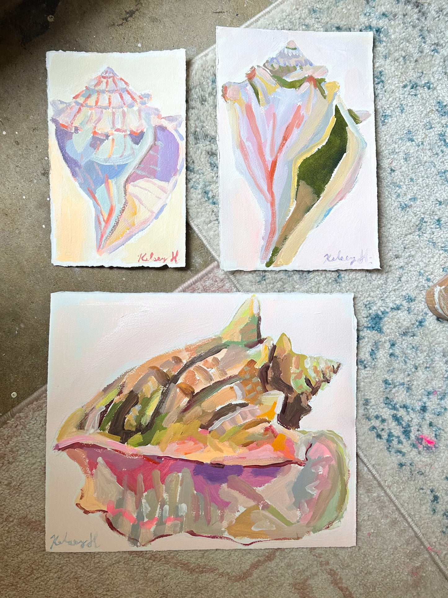 Shell No. 1- 6.5 x 10"