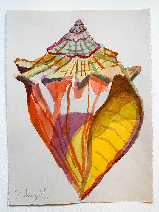 Colorful shell painting on a white background