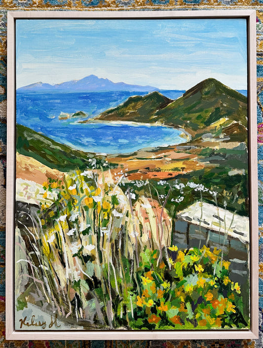 Our day trip to Antiparos - 19.25 x 25.25" Framed