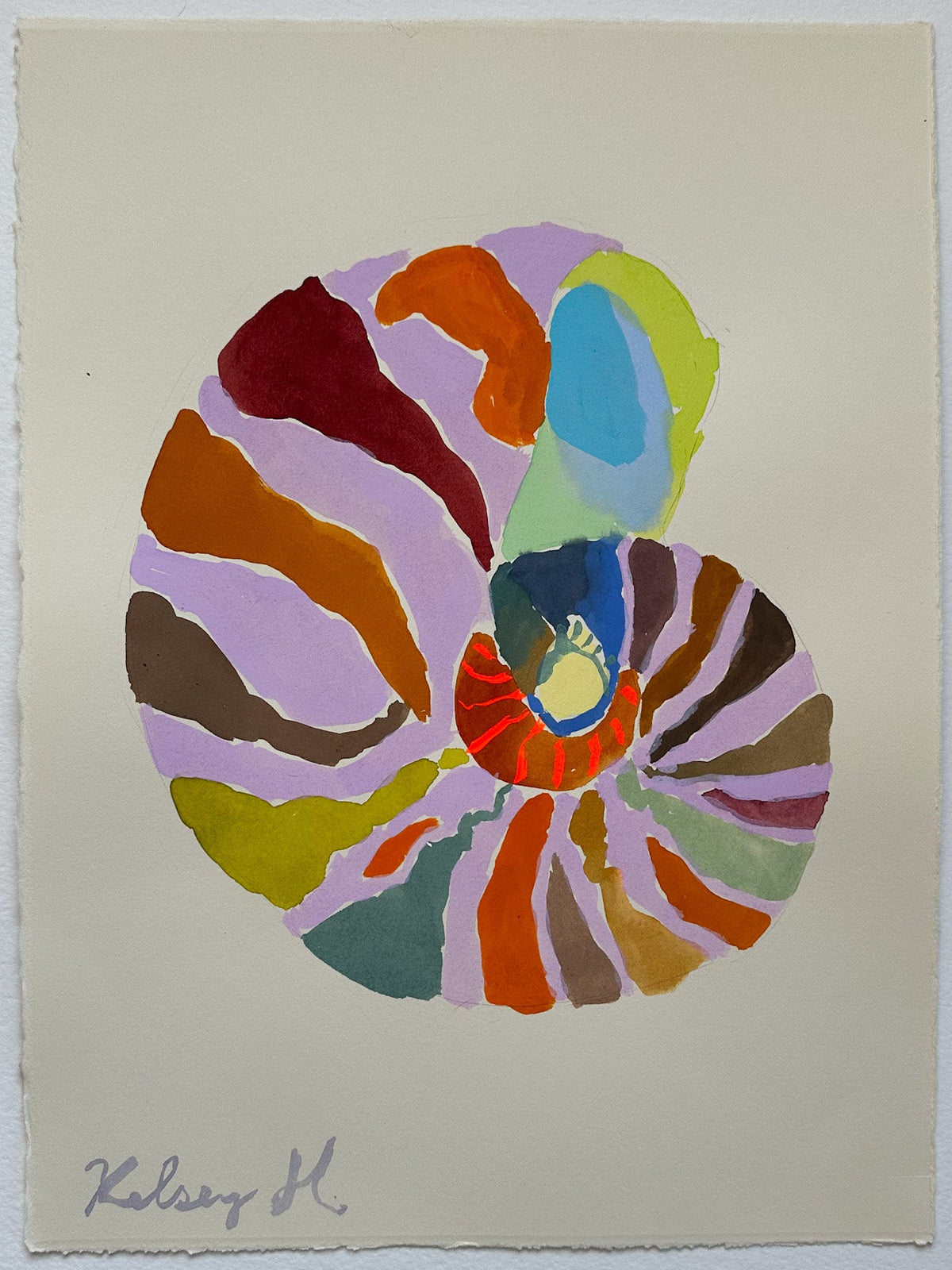 Nautilus - 11x15"