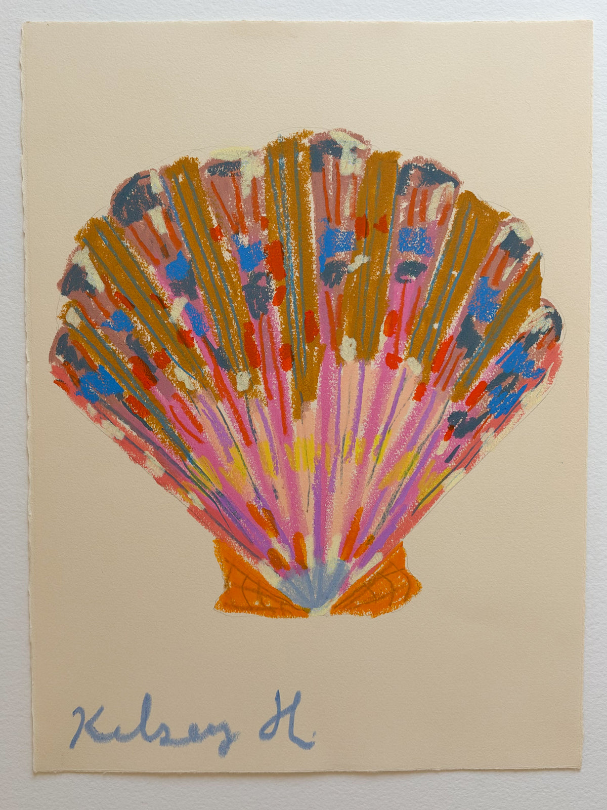 Colorful Shell No. 5  - 11x15"