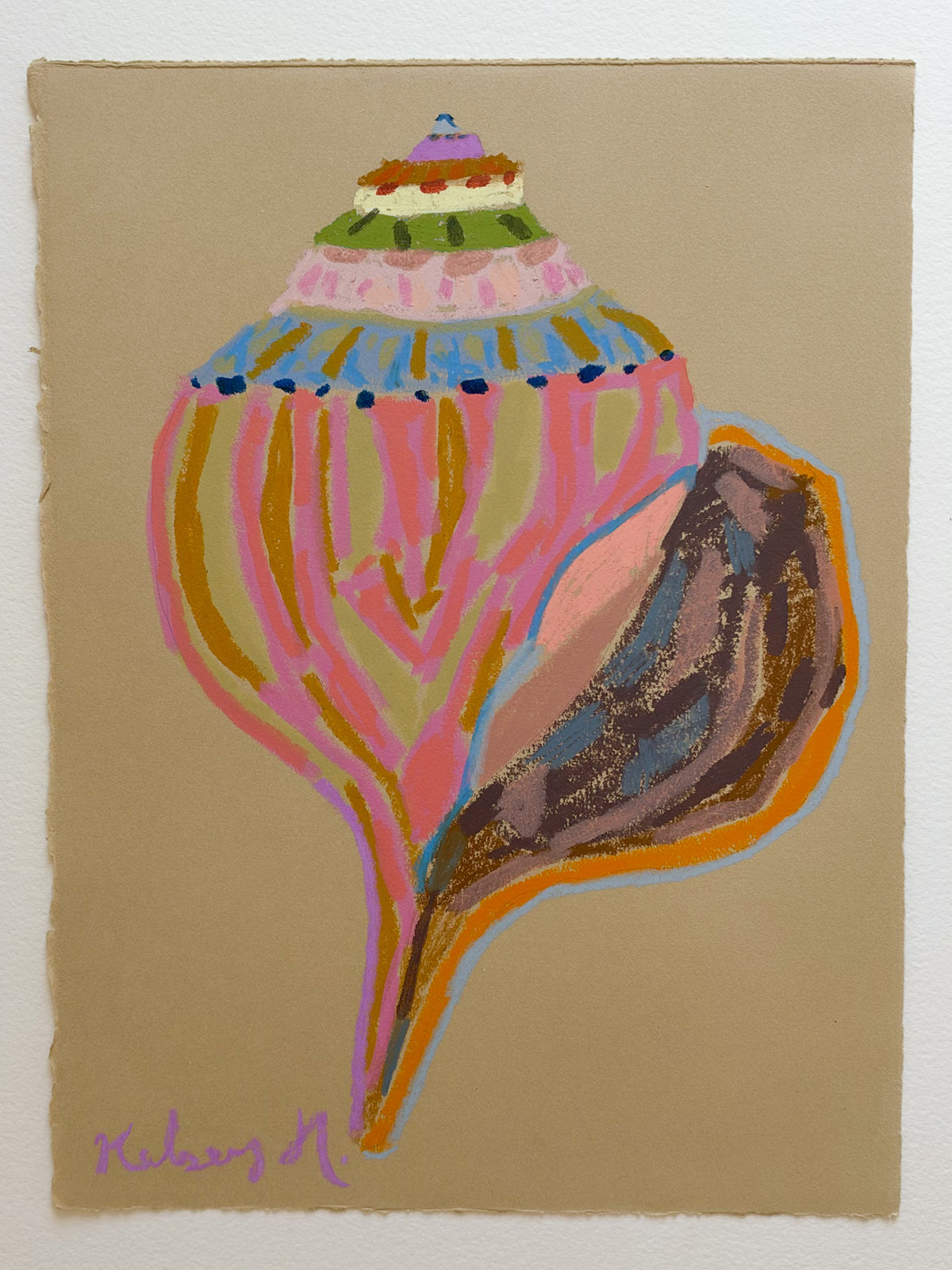 Colorful Shell No. 2  - 11x15"