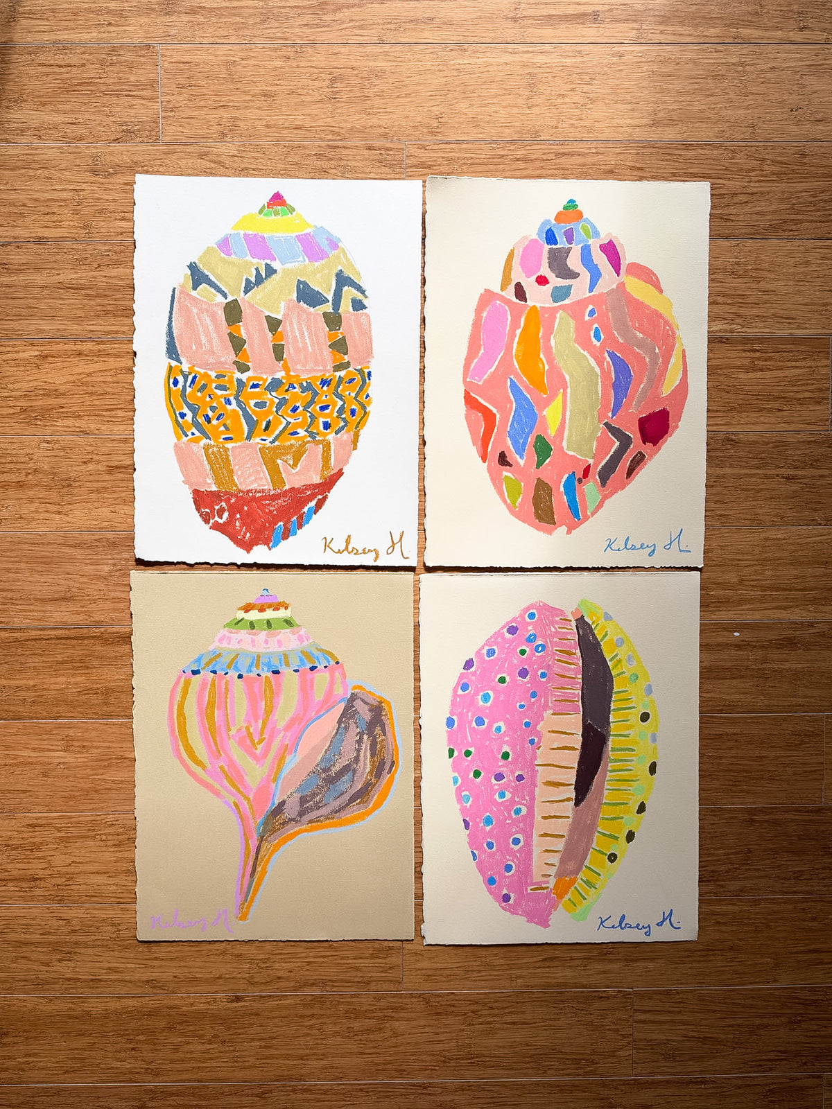 Colorful Shell No. 2  - 11x15"