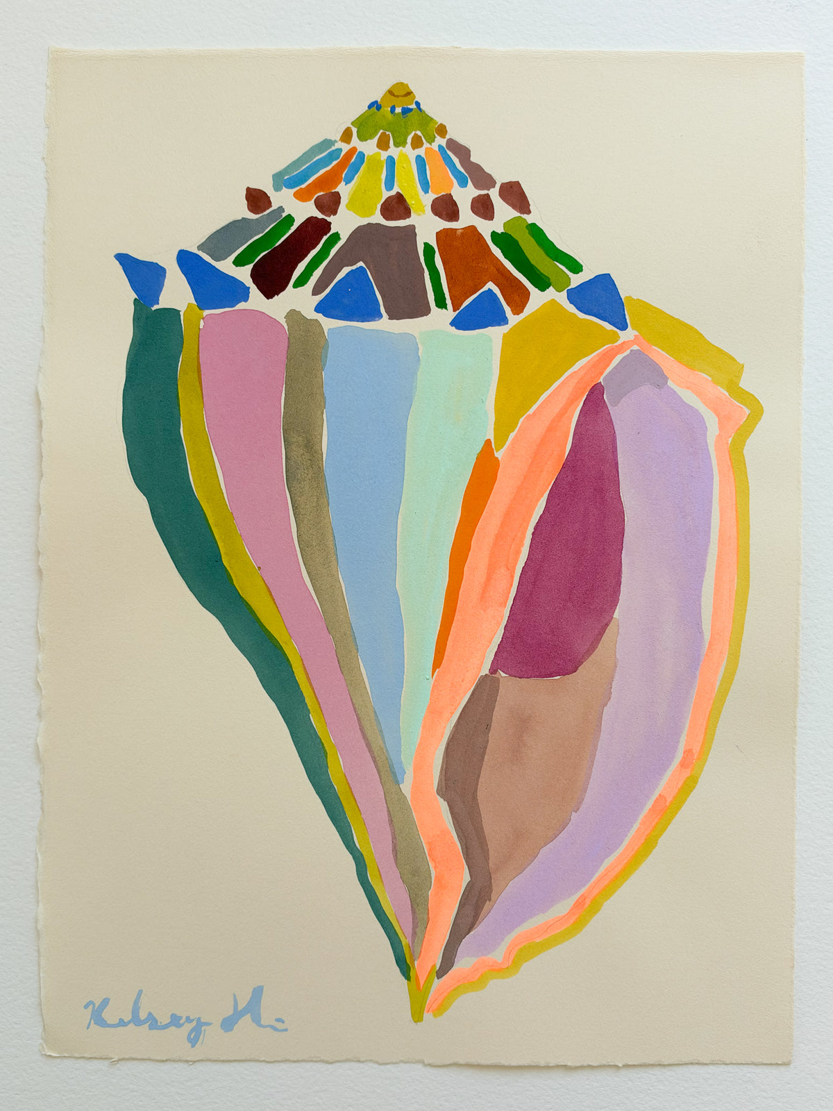 Colorful Shell No. 6  - 11x15"
