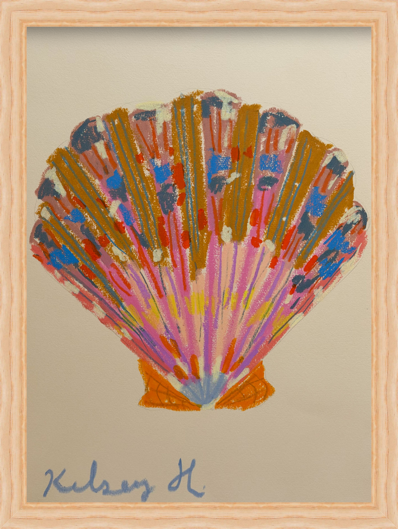 Colorful Shell No. 5  - 11x15"