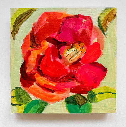 Camellia No. 3-6x6"